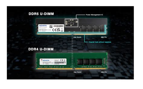 ddr5 slot compatible with ddr4|Reminder: DDR4 RAM Won't Fit Into DDR5 Slots and Vice Versa.